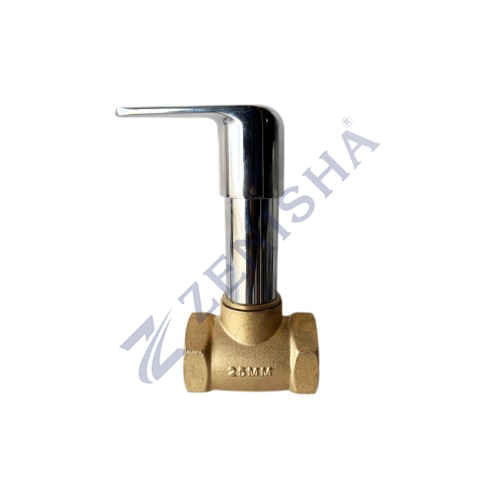 Flush Valve With Flange